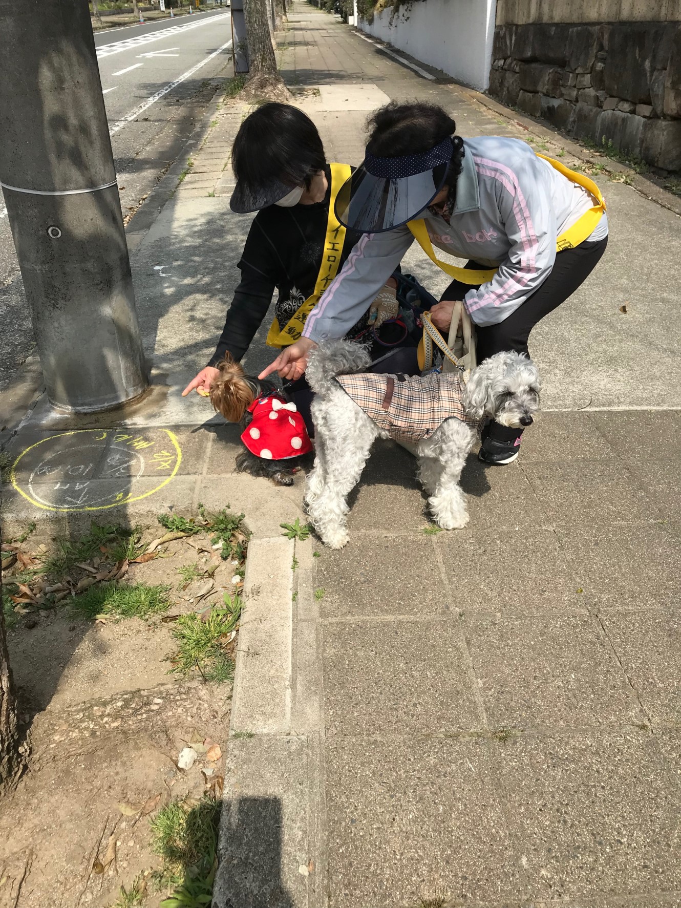 イエローチョーク運動